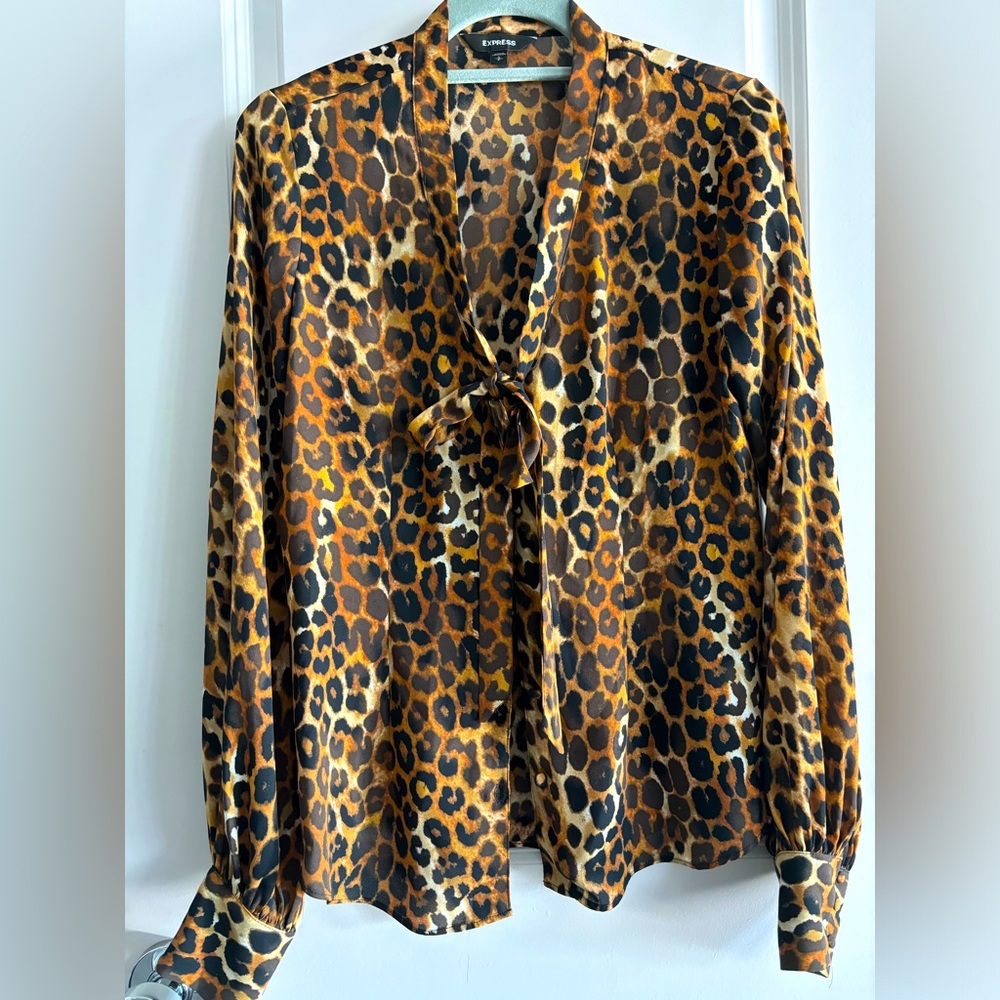 Express Cheetah Blouse
